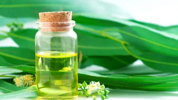 روغن های مفید برای افراد دارای آلرژی 