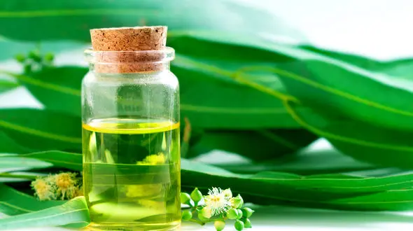 روغن های مفید برای افراد دارای آلرژی 