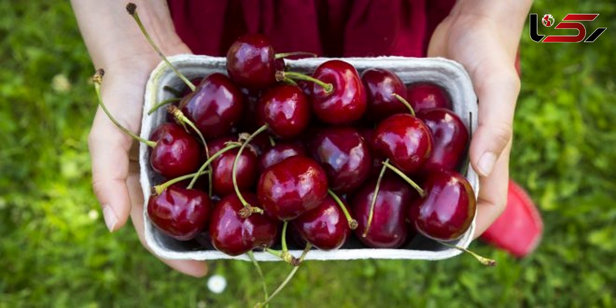 دفع سنگ مجاری ادراری به کمک دم گیلاس