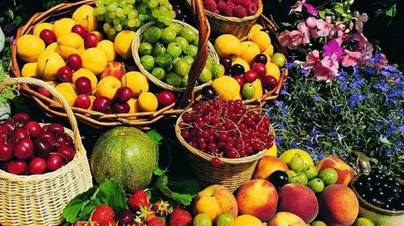 نکاتی در مورد مصرف نوبرانه های بهاری