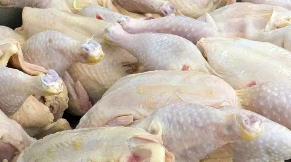 نرخ جدید مرغ و انواع مشتقات در بازار/ قیمت مرغ به ۱۴ هزار و ۲۰۰ تومان رسید