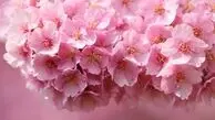 به جای تمرکز روی ترس‌ها، روی قدم بعدی تمرکز کن