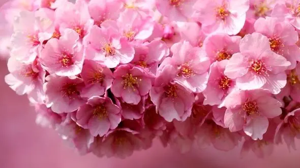 به جای تمرکز روی ترس‌ها، روی قدم بعدی تمرکز کن