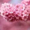 به جای تمرکز روی ترس‌ها، روی قدم بعدی تمرکز کن