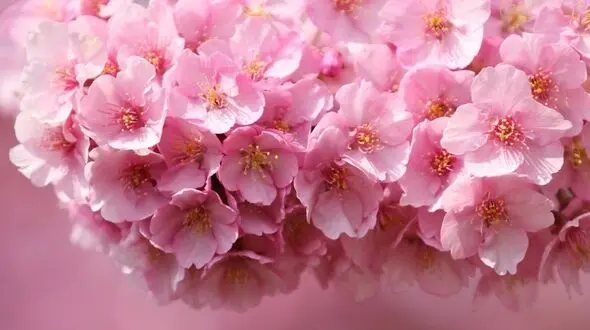 به جای تمرکز روی ترس‌ها، روی قدم بعدی تمرکز کن