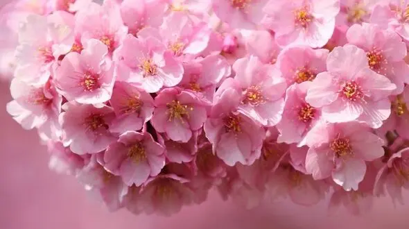 به جای تمرکز روی ترس‌ها، روی قدم بعدی تمرکز کن