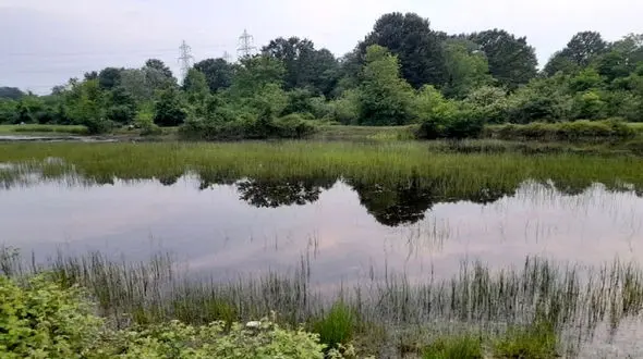 طبیعت روستای فشتام را ببینید + فیلم