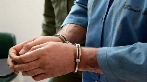 شرور خطرناک 2 خودرو را آتش زد / در تهرانپارس رخ داد