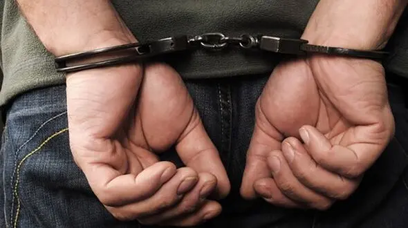 6 کفتار کرونایی در شیراز شناسایی شدند