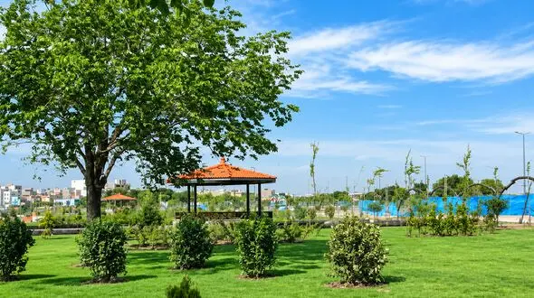 افزایش دما، نیاز آبی درختان را افزایش می‌دهد