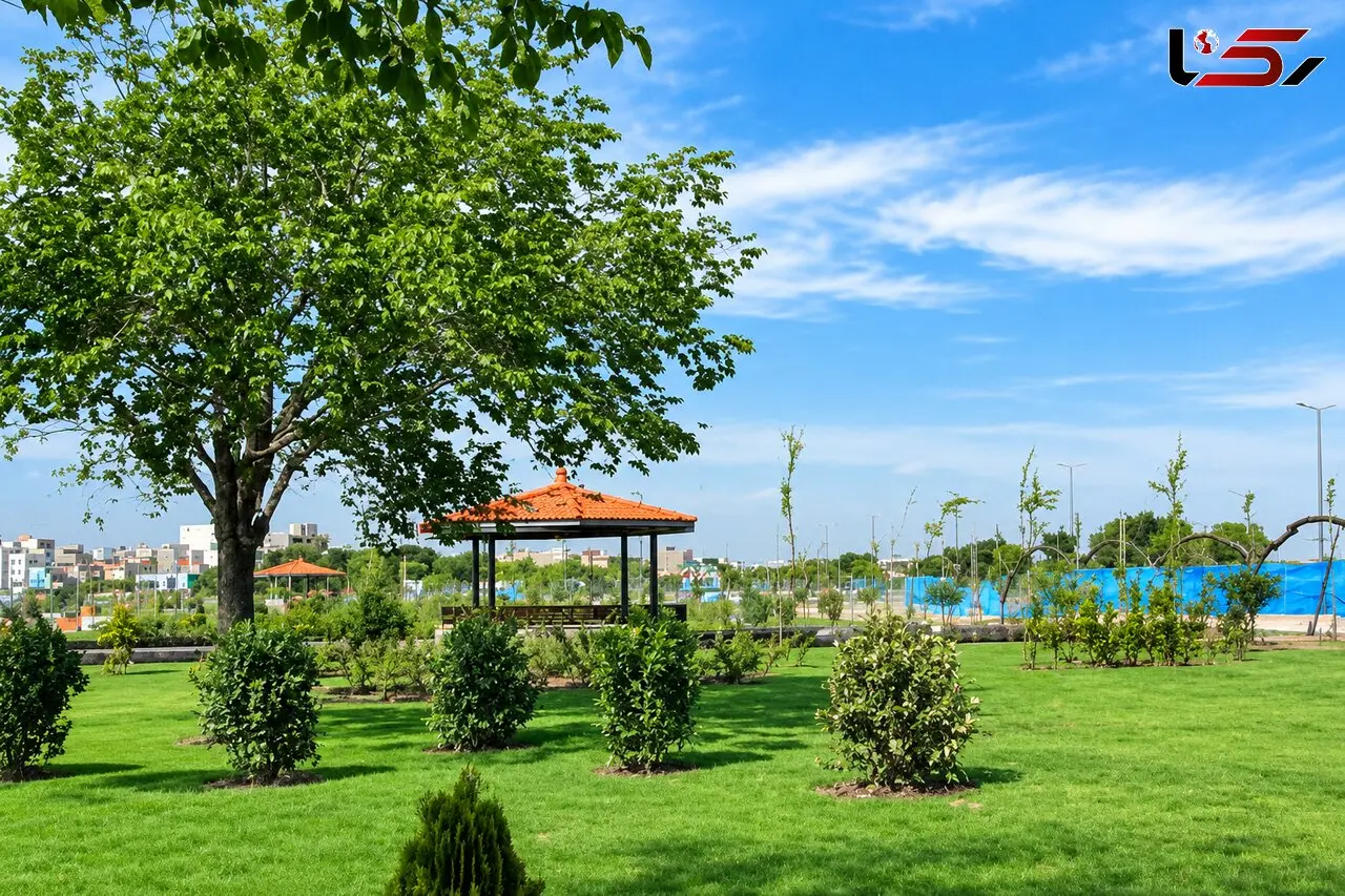 افزایش دما، نیاز آبی درختان را افزایش می‌دهد