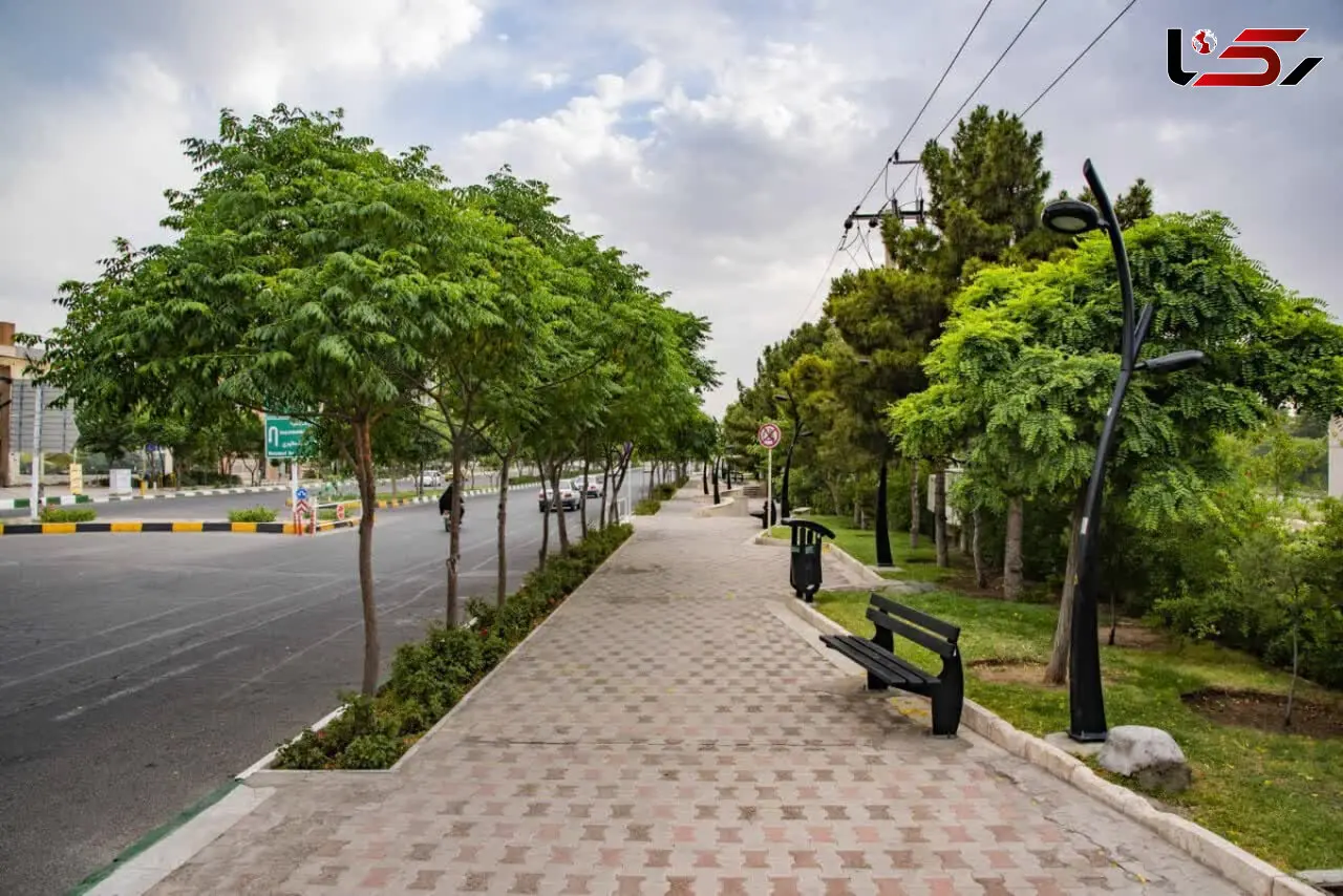 دو محله تهران در حسرت بوستان؛ شورای شهر خواستار تملک املاک شد
