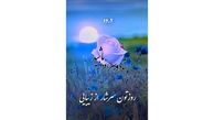 فال روزانه شخصی / 23 آذر ماه + فیلم