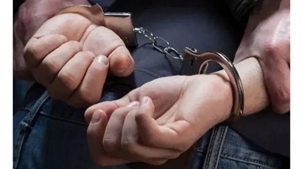 هوشیاری گشت پلیس ساوجبلاغ در دستگیری سارق خودرو 