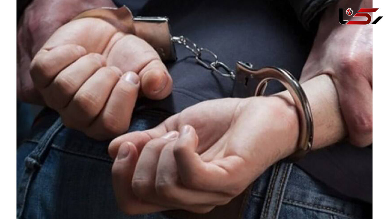 هوشیاری گشت پلیس ساوج بلاگ در حین دستگیری سارق خودرو