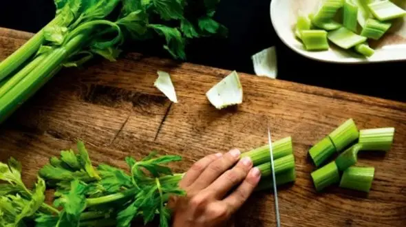 غذاهای کالری منفی؛ راهی ساده برای لاغری سریع و آسان