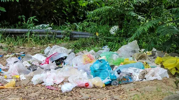 آموزش زباله نریختن به یک پلنگ!  + فیلم