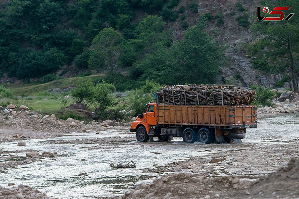 کشف بیش از ۵۰ تن چوب قاچاق در رودسر