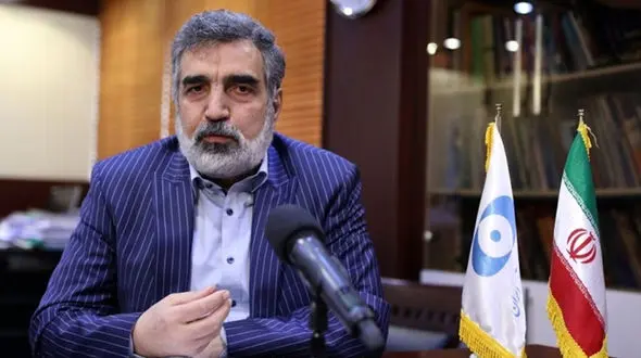 سخنگوی سازمان انرژی اتمی: مذاکرات سازنده‌ای داشتیم اما به نهایت نرسید و ناتمام ماند