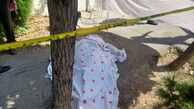 اولین عکس از جنازه دکتر محفوظی در سعادت آباد / شلیک مرگبار 2 گلوله به رییس سابق پزشکی قانونی + جزییات