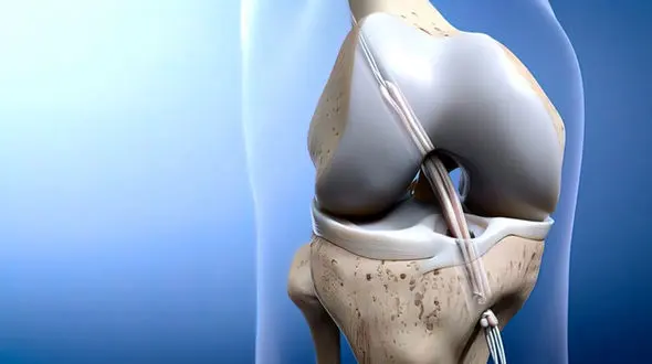 acl چیست؟ / جدول های مهم و تخصصی 