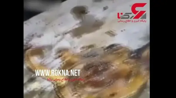 طبخ آرمادیلو برای شام! + فیلم 