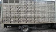 توقیف 10  کامیون پر از مرغ های غیر قانونی در رودبار
