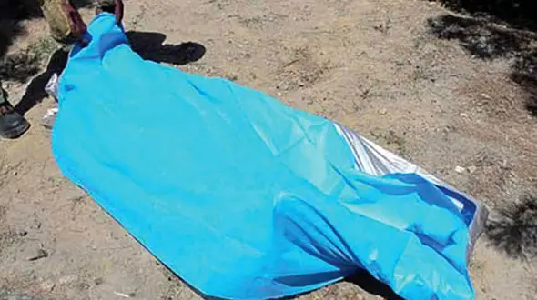 سگ ها مرد مشهدی را خوردند ! / در شهر رخ داد