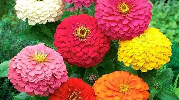 حرف مشترک همه انسان ها + فیلم 