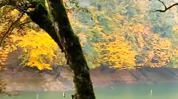 سفر به دریاچه چورت در پاییز  / فیلم