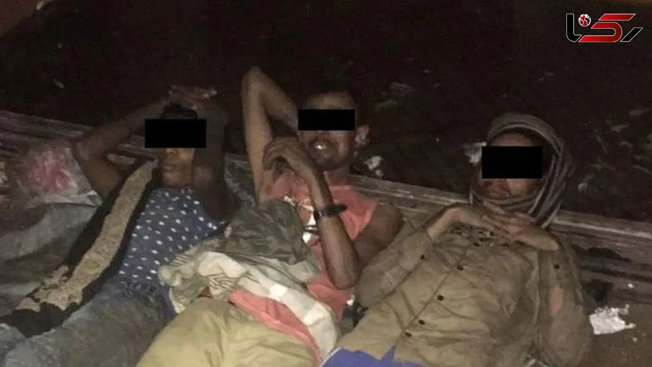 3 مهاجر میهمانان ناخوانده کامیون بودند + عکس جالب