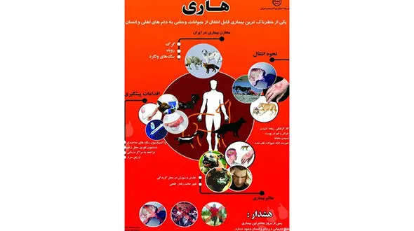 اگر مار نیش زد چه کارهایی مرگبار است! /گربه ها هم هار می شوند! 