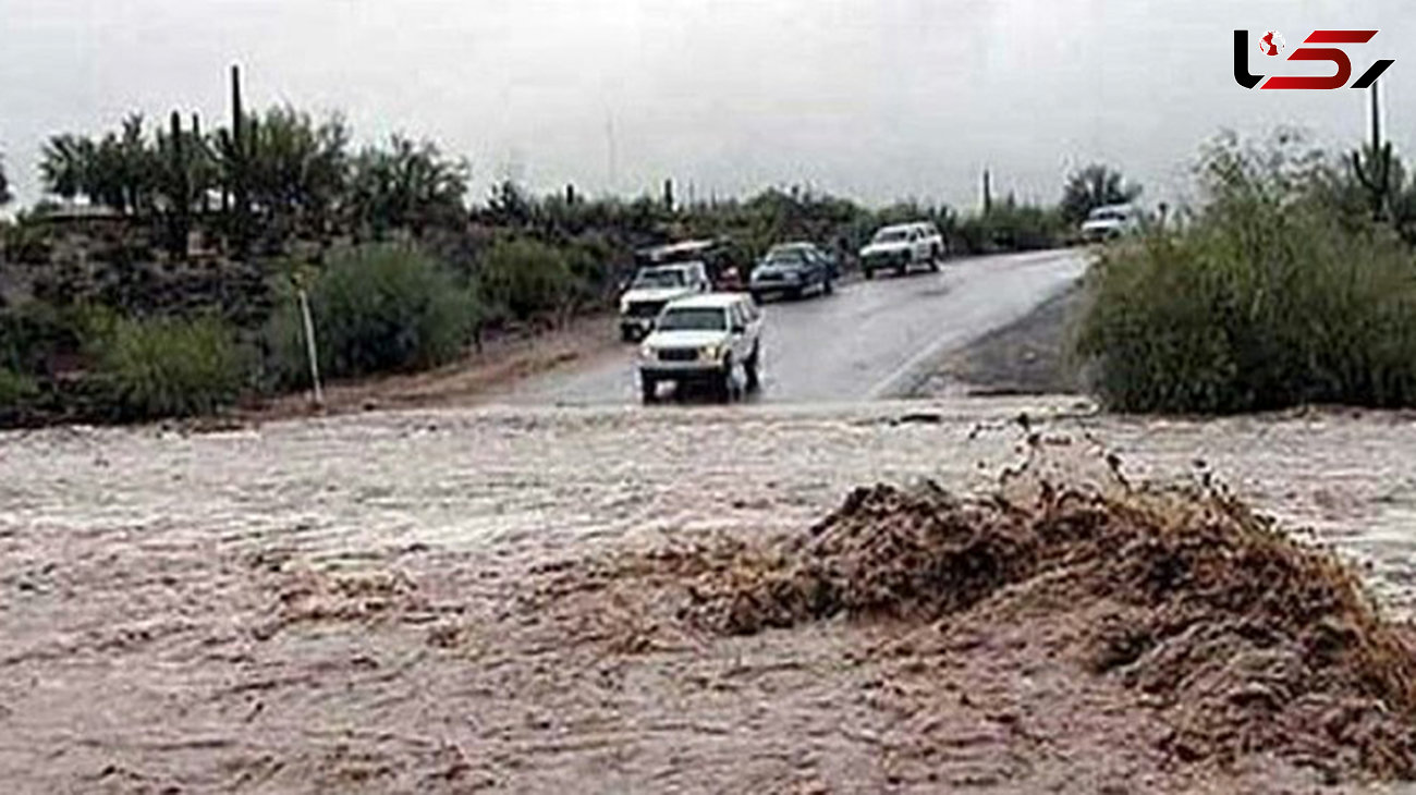 ۴۴ نفر از خطر سیلاب در خراسان جنوبی نجات یافتند