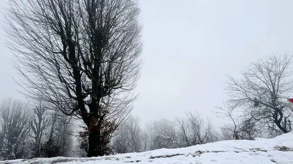 هجوم سامانه برفی قوی به سمت ایران / تحلیل مدل معتبر اروپایی