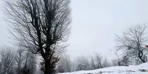 هجوم سامانه برفی قوی به سمت ایران / تحلیل مدل معتبر اروپایی