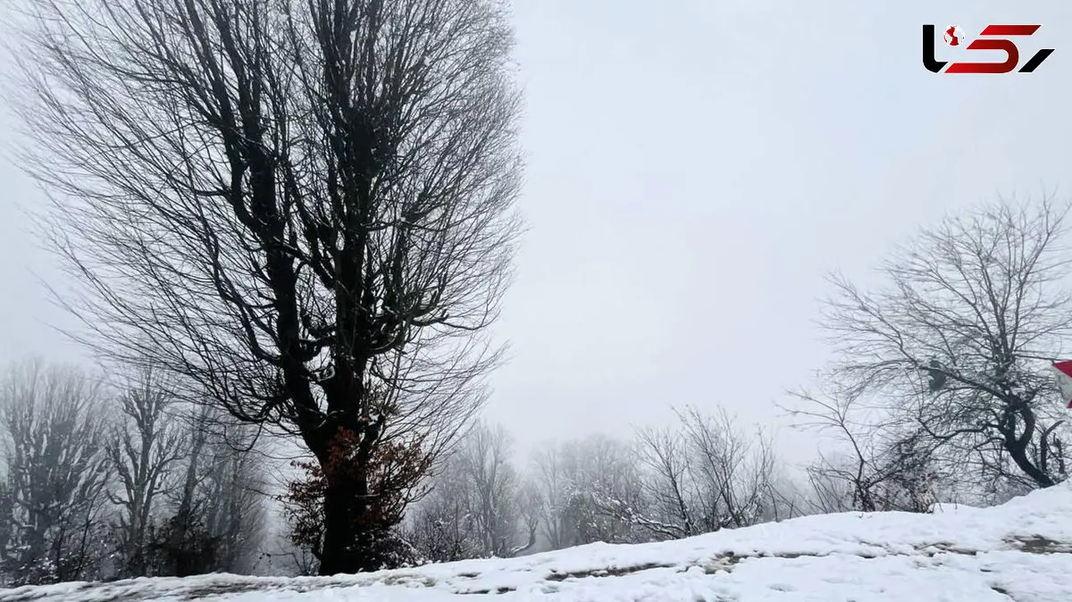 هجوم سامانه برفی قوی به سمت ایران / تحلیل مدل معتبر اروپایی