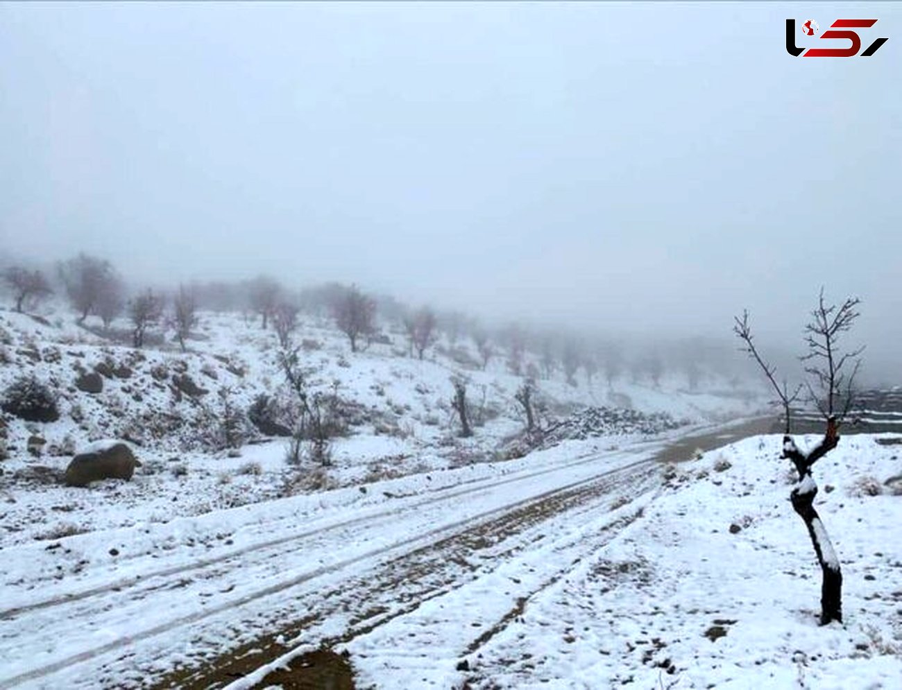 اولین برف پاییزی بسیاری از مناطق یزد را سفیدپوش کرد