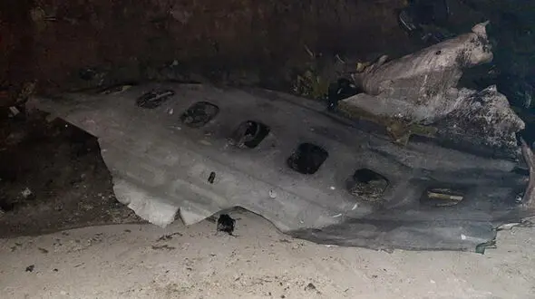 82 ایرانی در سقوط هواپیمای بوئینگ 737 صبح امروز + عکس