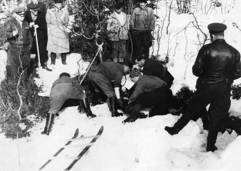 تیم جست و جو