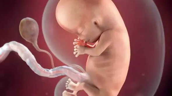 چرا غربالگری در دوران بارداری مهم است؟