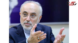 Ali Akbar Salehi: Zarif’s Nuclear Consortium Proposal Dates Back to Pre-Revolution Era