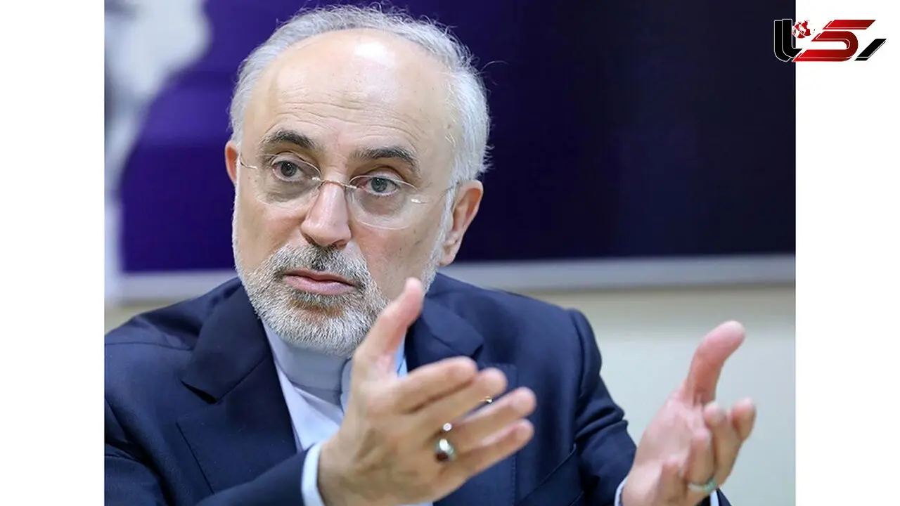Ali Akbar Salehi: Zarif’s Nuclear Consortium Proposal Dates Back to Pre-Revolution Era
