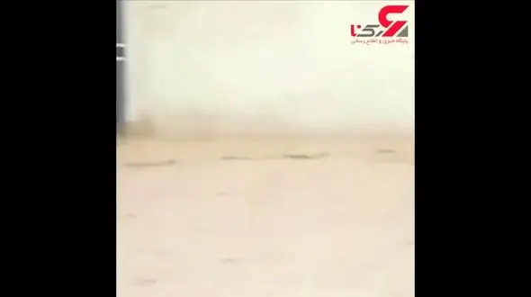 اتفاقی عجیب در سیل شیراز / تشویق پسر جوان به پریدن در سیلاب+ فیلم