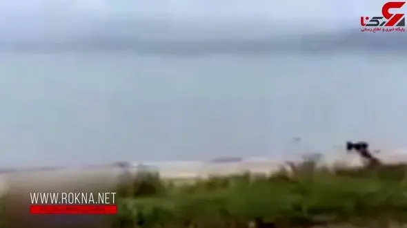 بلعیده شدن ناگهانی سگ توسط کروکودیل +فیلم