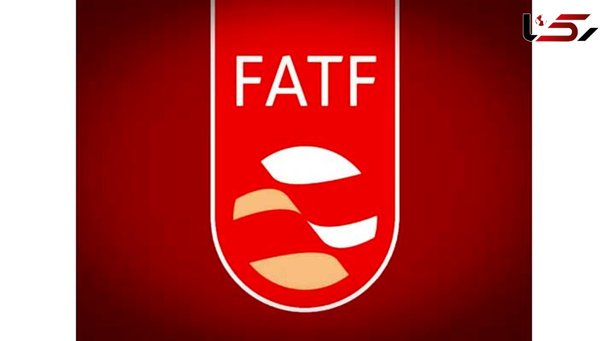 از تصمیم FATF راضی نیستیم ولی آن را گامی رو به جلو می دانیم