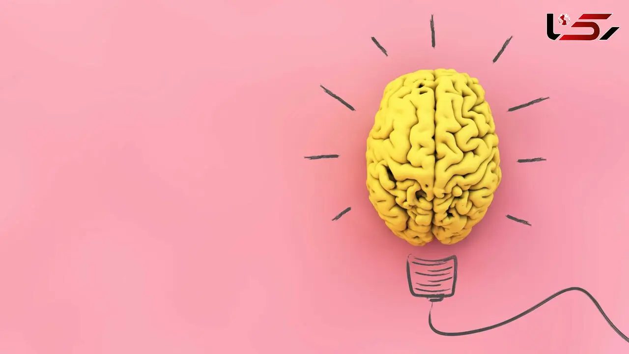 تاثیر کمبود ویتامین ها بر مغز 