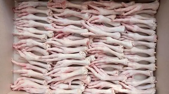 صادرات فرآورده‌های خام دامی لرستان به ۴ کشور 