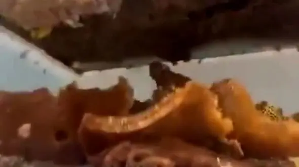 فیلم عجیب برداشت عسل از زیر سقف یک خانه! 