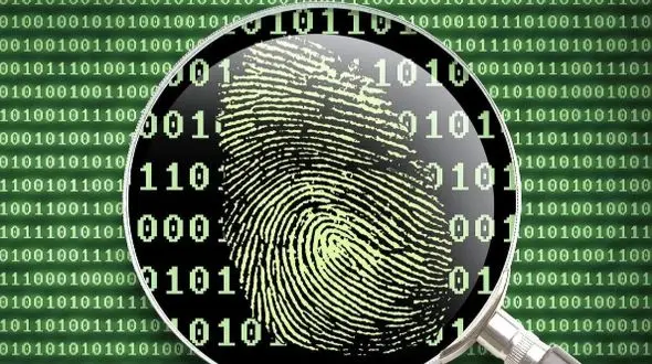 اثر انگشت انسان؛ رمزگذاری طبیعی منحصر به فرد یا تکراری؟