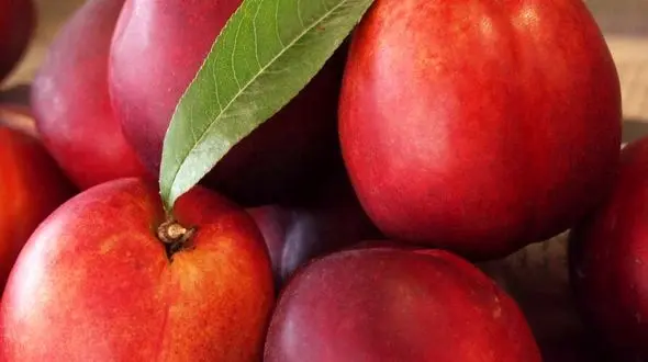 برای تقویت بینایی شلیل بخورید